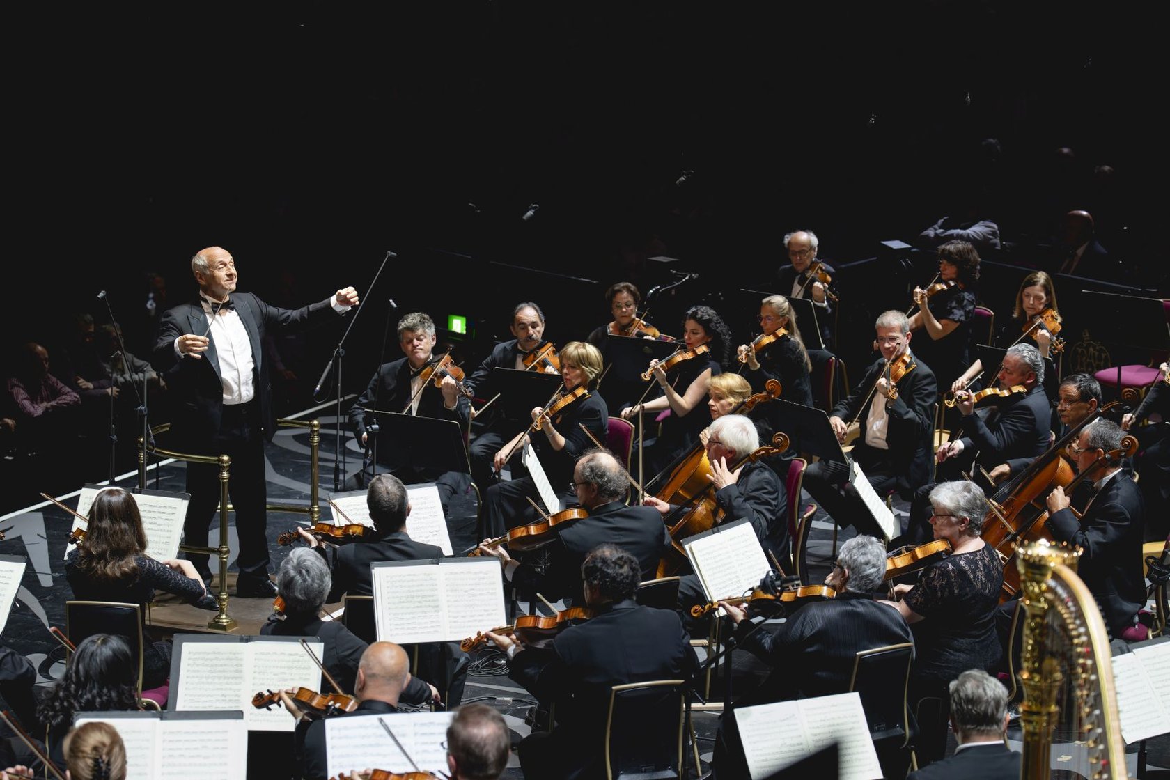 BBC Proms_Beethoven & Bartók from Budapest_photo credit Andy Paradise (19)small.jpg