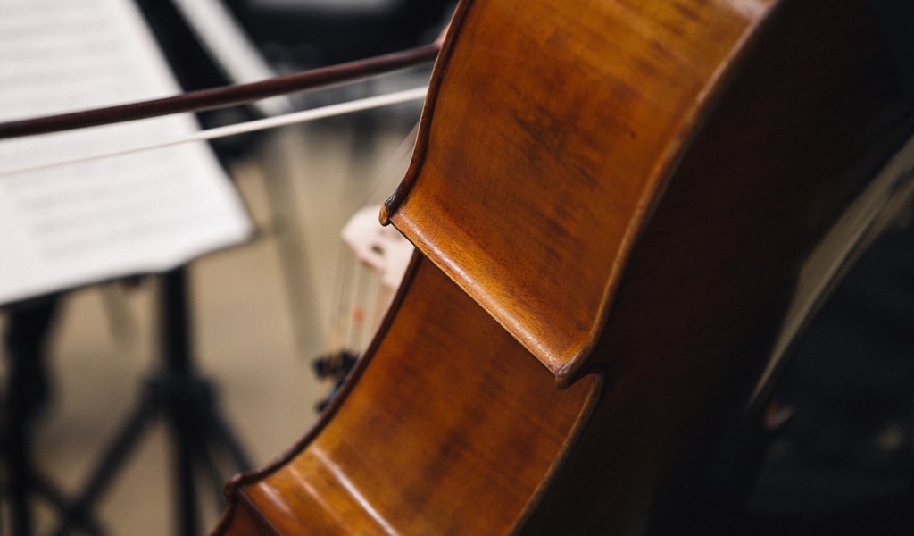 Online Musical Journey in Budapest