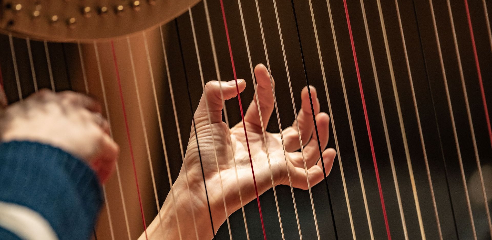 Contribute to a new harp for the 40-year-old BFO!