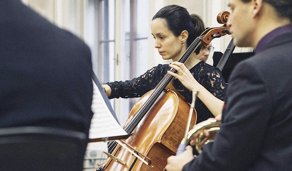 Online Musical journey in Budapest: Telemann, Haydn, Beethoven